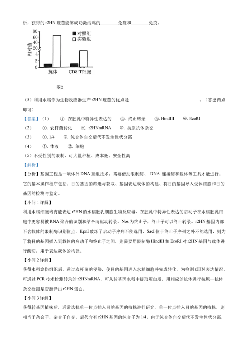 2024年新课标高考真题河北生物试卷（解析版）_高考真题全网收集_生物学_2024年新高考河北卷生物高考真题解析（参考版）