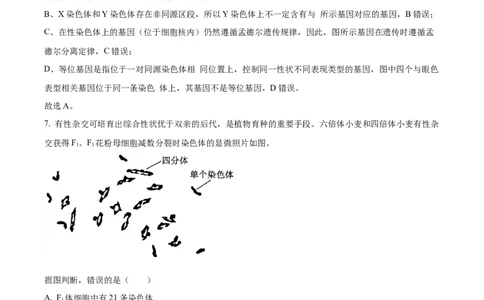 精品解析：2024年北京高考真题生物试卷（解析版）_高考真题全网收集_生物学_2024年新高考北京卷生物高考真题解析（参考版）