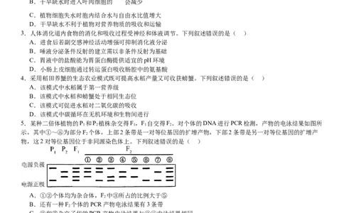 新课标生物-试题-p_近10年高考真题汇编（必刷）_2024年高考真题_高考真题（截止6.29）_新课标卷副科（云南,河南,新疆,山西）（6科全）