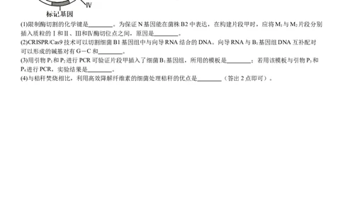 新课标生物-试题-p_近10年高考真题汇编（必刷）_2024年高考真题_高考真题（截止6.29）_新课标卷副科（云南,河南,新疆,山西）（6科全）