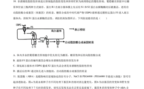 精品解析：2024年新课标湖南高考真题生物试卷（原卷版）_高考真题全网收集_生物学_精品解析：2024年新高考湖南卷生物高考真题解析（参考版）
