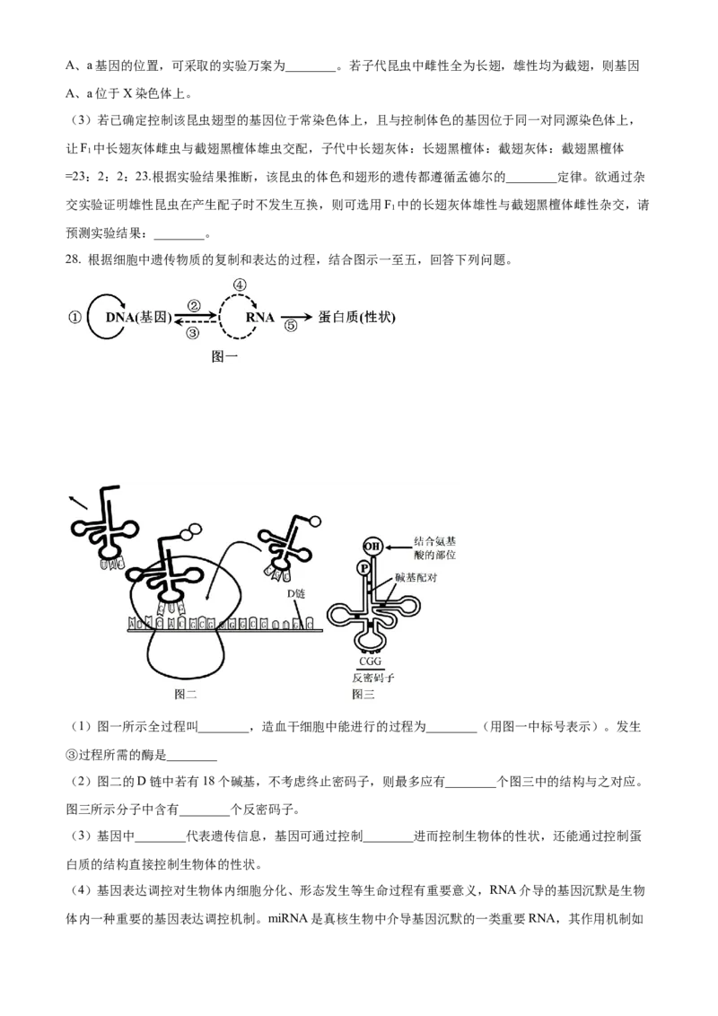 黑龙江省哈尔滨市第九中学2024-2025学年高三上学期期中考试生物Word版含答案_11月_241102黑龙江省哈尔滨市第九中学2024-2025学年高三上学期期中考试