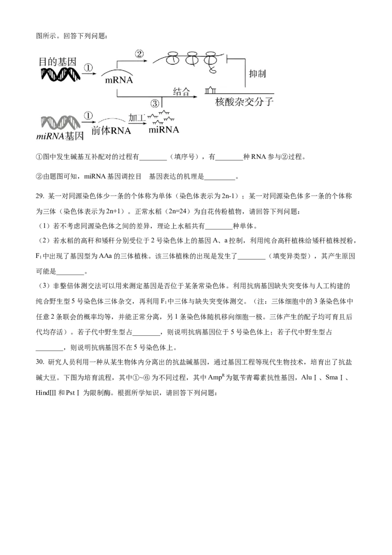 黑龙江省哈尔滨市第九中学2024-2025学年高三上学期期中考试生物Word版含答案_11月_241102黑龙江省哈尔滨市第九中学2024-2025学年高三上学期期中考试