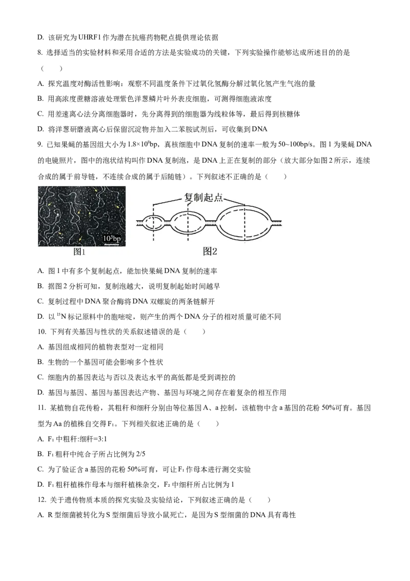 黑龙江省哈尔滨市第九中学2024-2025学年高三上学期期中考试生物Word版含答案_11月_241102黑龙江省哈尔滨市第九中学2024-2025学年高三上学期期中考试