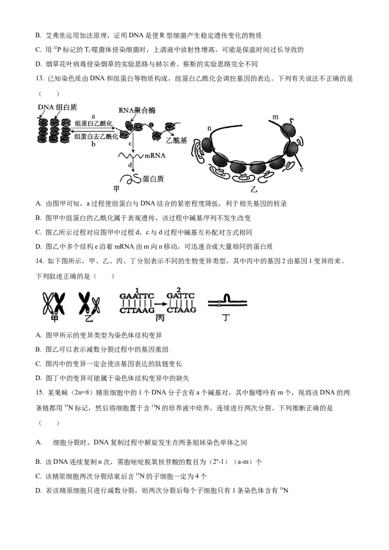 黑龙江省哈尔滨市第九中学2024-2025学年高三上学期期中考试生物Word版含答案_11月_241102黑龙江省哈尔滨市第九中学2024-2025学年高三上学期期中考试