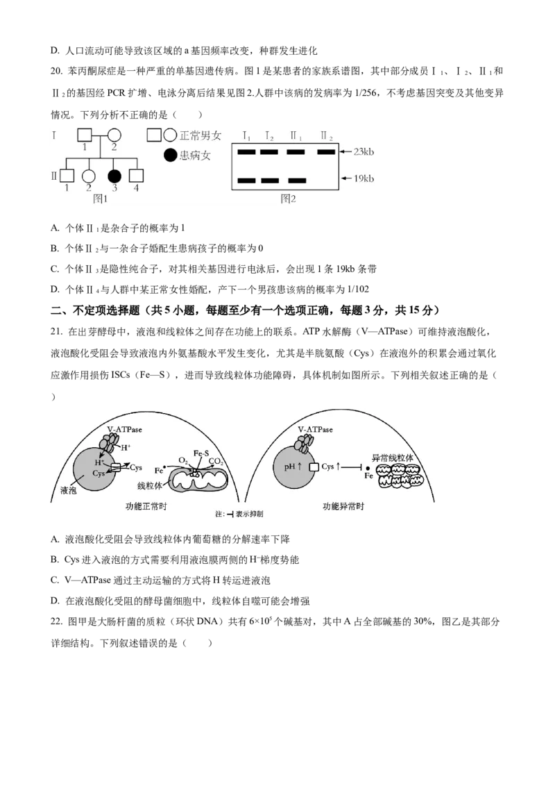 黑龙江省哈尔滨市第九中学2024-2025学年高三上学期期中考试生物Word版含答案_11月_241102黑龙江省哈尔滨市第九中学2024-2025学年高三上学期期中考试