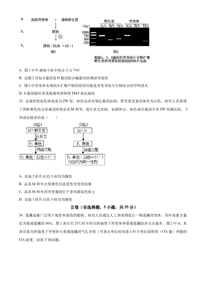黑龙江省哈尔滨市第九中学2024-2025学年高三上学期期中考试生物Word版含答案_11月_241102黑龙江省哈尔滨市第九中学2024-2025学年高三上学期期中考试