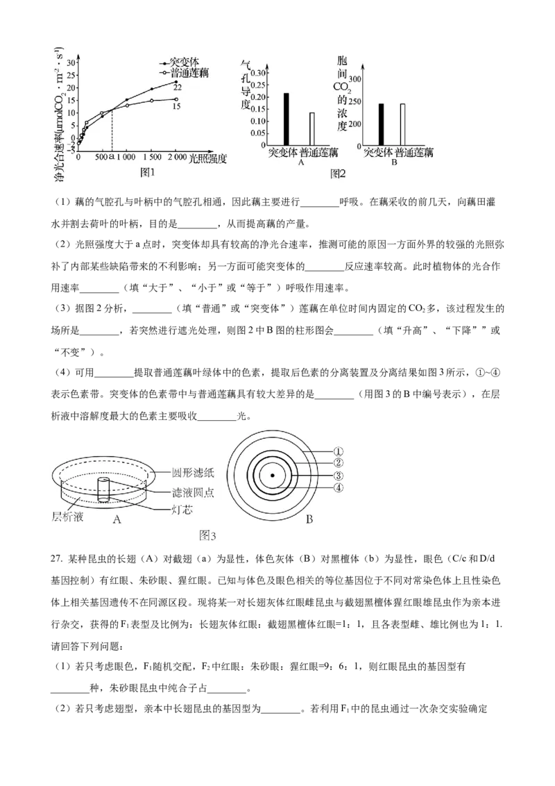 黑龙江省哈尔滨市第九中学2024-2025学年高三上学期期中考试生物Word版含答案_11月_241102黑龙江省哈尔滨市第九中学2024-2025学年高三上学期期中考试