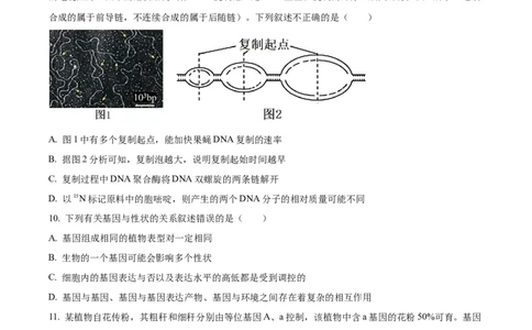黑龙江省哈尔滨市第九中学2024-2025学年高三上学期期中考试生物Word版含答案_11月_241102黑龙江省哈尔滨市第九中学2024-2025学年高三上学期期中考试