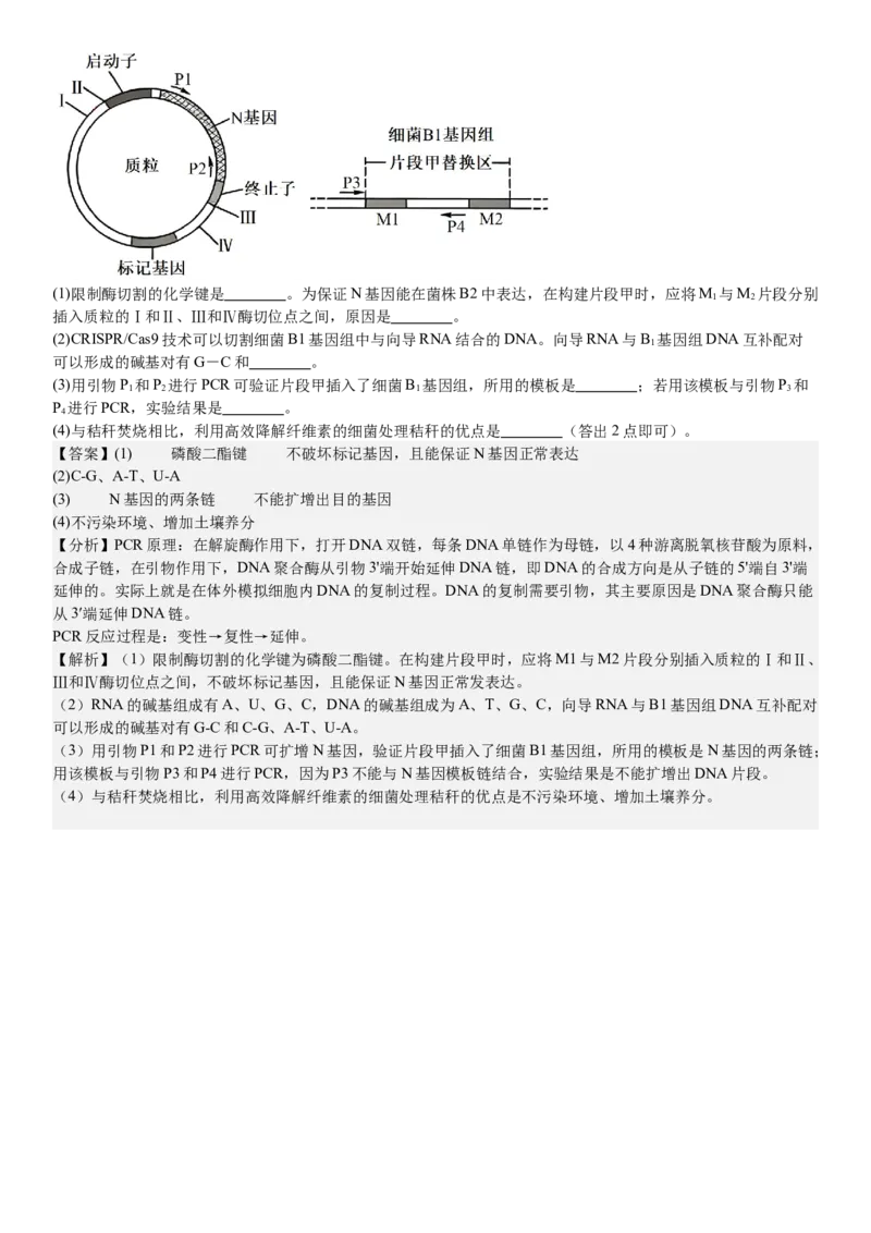 新课标生物-答案-p_近10年高考真题汇编（必刷）_2024年高考真题_高考真题（截止6.29）_新课标卷副科（云南,河南,新疆,山西）（6科全）