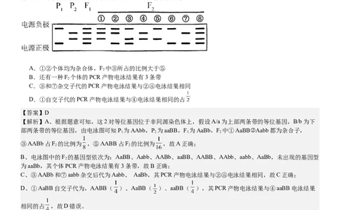 新课标生物-答案-p_近10年高考真题汇编（必刷）_2024年高考真题_高考真题（截止6.29）_新课标卷副科（云南,河南,新疆,山西）（6科全）