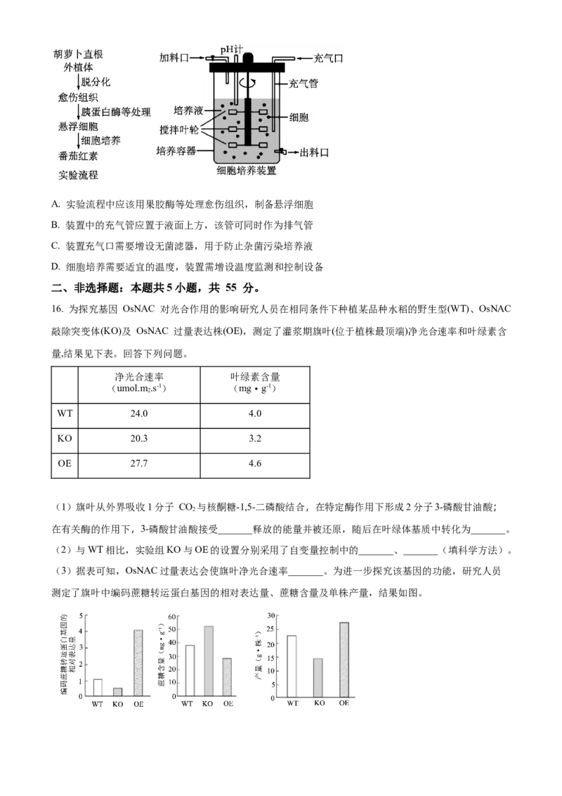 精品解析：2024年新课标高考真题安徽卷生物试卷（原卷版）_高考真题全网收集_生物学_2024年新高考安徽卷生物高考真题解析（参考版）