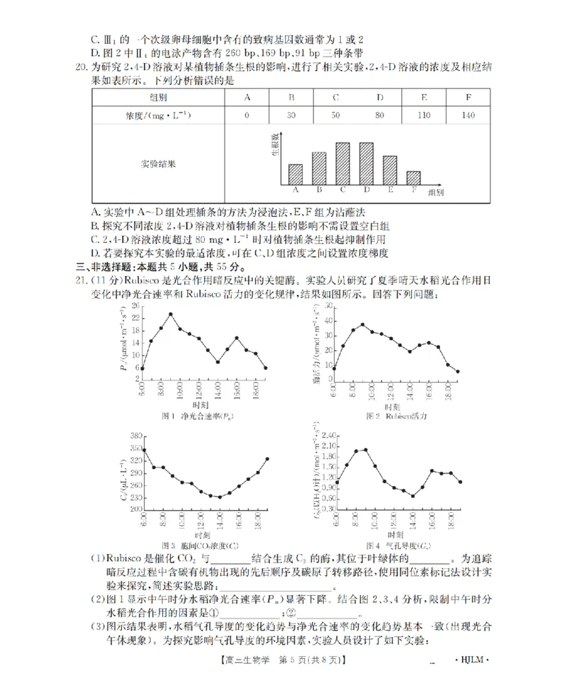 黑吉辽蒙金太阳2026届高三9月开学联考（HJLM）生物_2025年9月_250911黑吉辽蒙金太阳2026届高三9月开学联考（26-1002C）（全科）