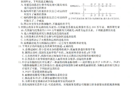 黑吉辽蒙金太阳2026届高三9月开学联考（HJLM）生物_2025年9月_250911黑吉辽蒙金太阳2026届高三9月开学联考（26-1002C）（全科）