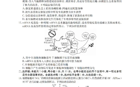 黑吉辽蒙金太阳2026届高三9月开学联考（HJLM）生物_2025年9月_250911黑吉辽蒙金太阳2026届高三9月开学联考（26-1002C）（全科）
