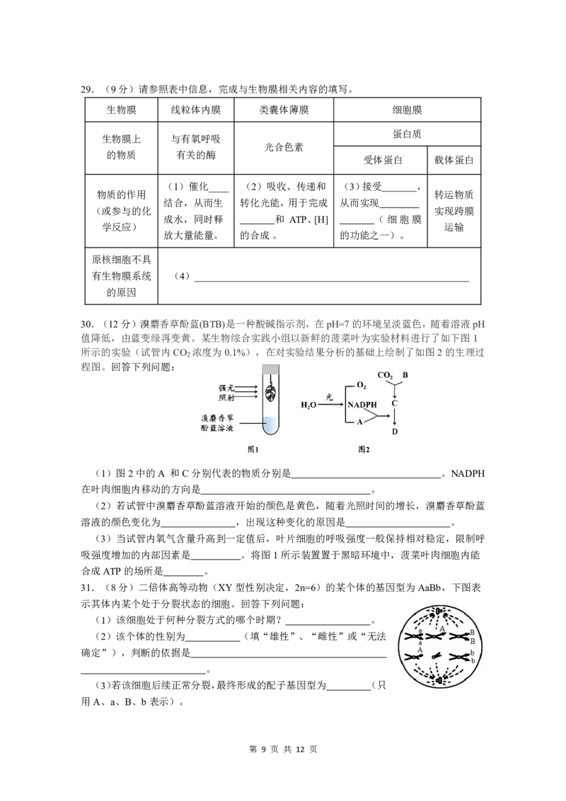 10月月考试题理综(1)_2023年10月_0210月合集_2024届四川省绵阳南山中学高三上学期10月月考_四川省绵阳南山中学2024届高三上学期10月月考理综