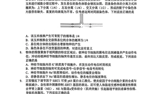 生物试卷-2026届山东省淄博市第一学期高三摸底质量检测（期末）(1)_2026年1月_2601232026届山东省淄博市第一学期高三摸底质量检测（期末）（全科）