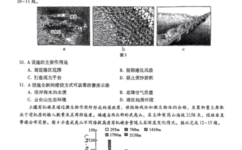 重庆市第八中学2025届高三5月适应性月考卷（七）地理_2025年5月_250515重庆市第八中学2025届高三5月适应性月考卷（七）（全科）