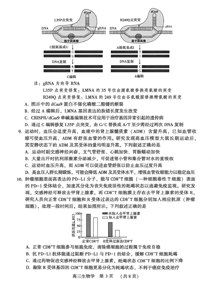 豫西北教研联盟（平许济洛）高三上学期1月质量检测生物(1)_2026年1月_260109河南省豫西北教研联盟（平许济洛）高三上学期1月质量检测（全科）