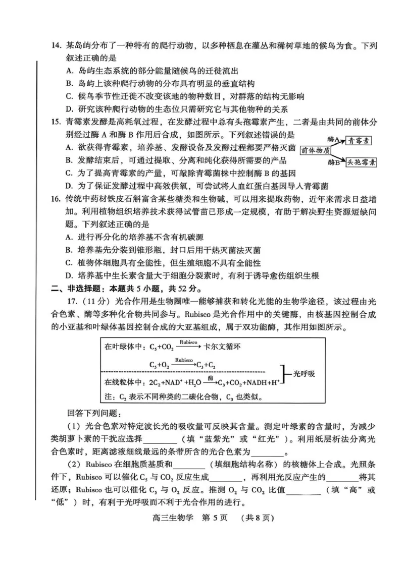 豫西北教研联盟（平许济洛）高三上学期1月质量检测生物(1)_2026年1月_260109河南省豫西北教研联盟（平许济洛）高三上学期1月质量检测（全科）