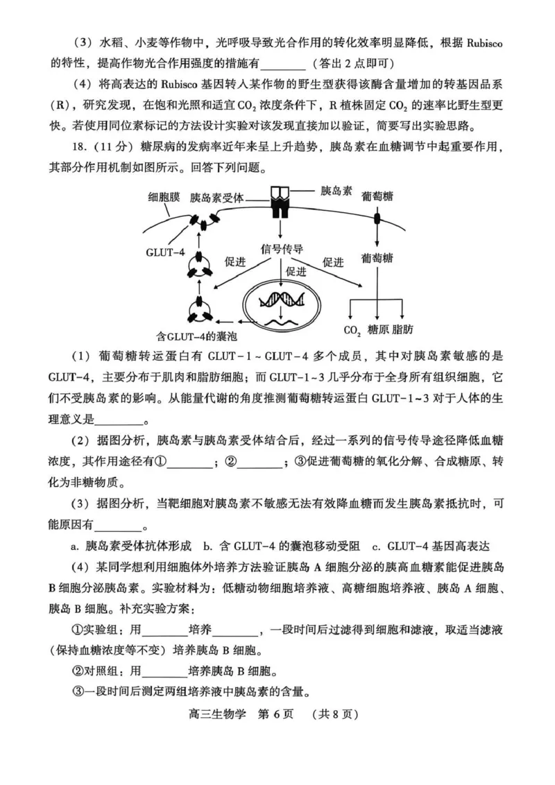豫西北教研联盟（平许济洛）高三上学期1月质量检测生物(1)_2026年1月_260109河南省豫西北教研联盟（平许济洛）高三上学期1月质量检测（全科）