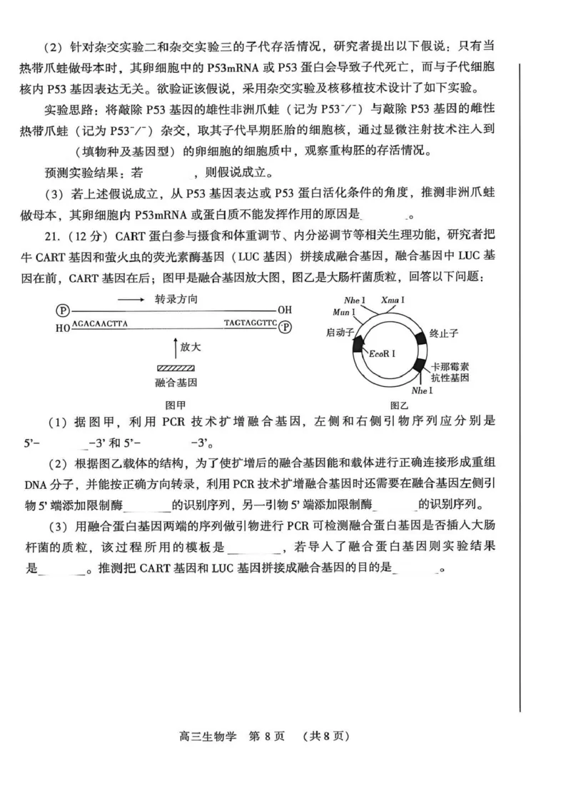 豫西北教研联盟（平许济洛）高三上学期1月质量检测生物(1)_2026年1月_260109河南省豫西北教研联盟（平许济洛）高三上学期1月质量检测（全科）