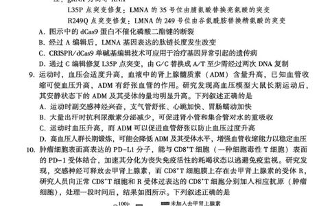 豫西北教研联盟（平许济洛）高三上学期1月质量检测生物(1)_2026年1月_260109河南省豫西北教研联盟（平许济洛）高三上学期1月质量检测（全科）