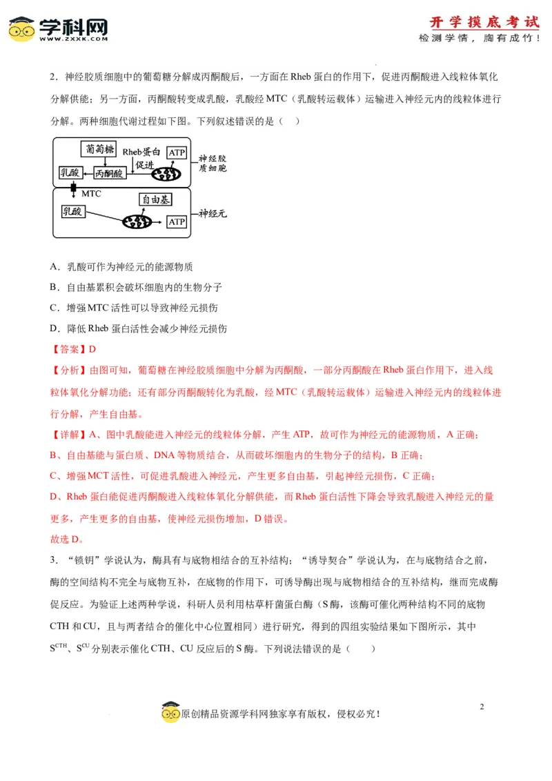 生物（山东卷）（全解全析）_2024届新高三开学摸底考试卷_生物-2024届新高三开学摸底考试卷_生物-2024届新高三开学摸底考试卷（山东卷）