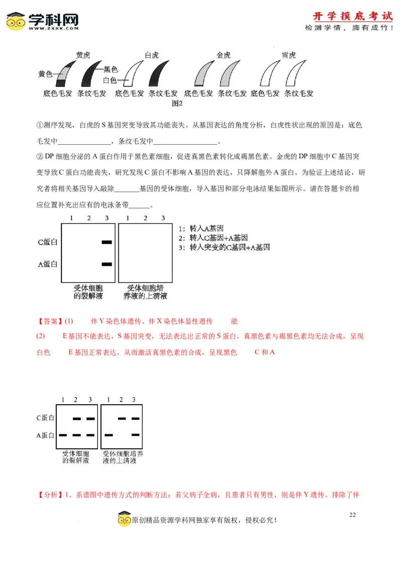 生物（山东卷）（全解全析）_2024届新高三开学摸底考试卷_生物-2024届新高三开学摸底考试卷_生物-2024届新高三开学摸底考试卷（山东卷）