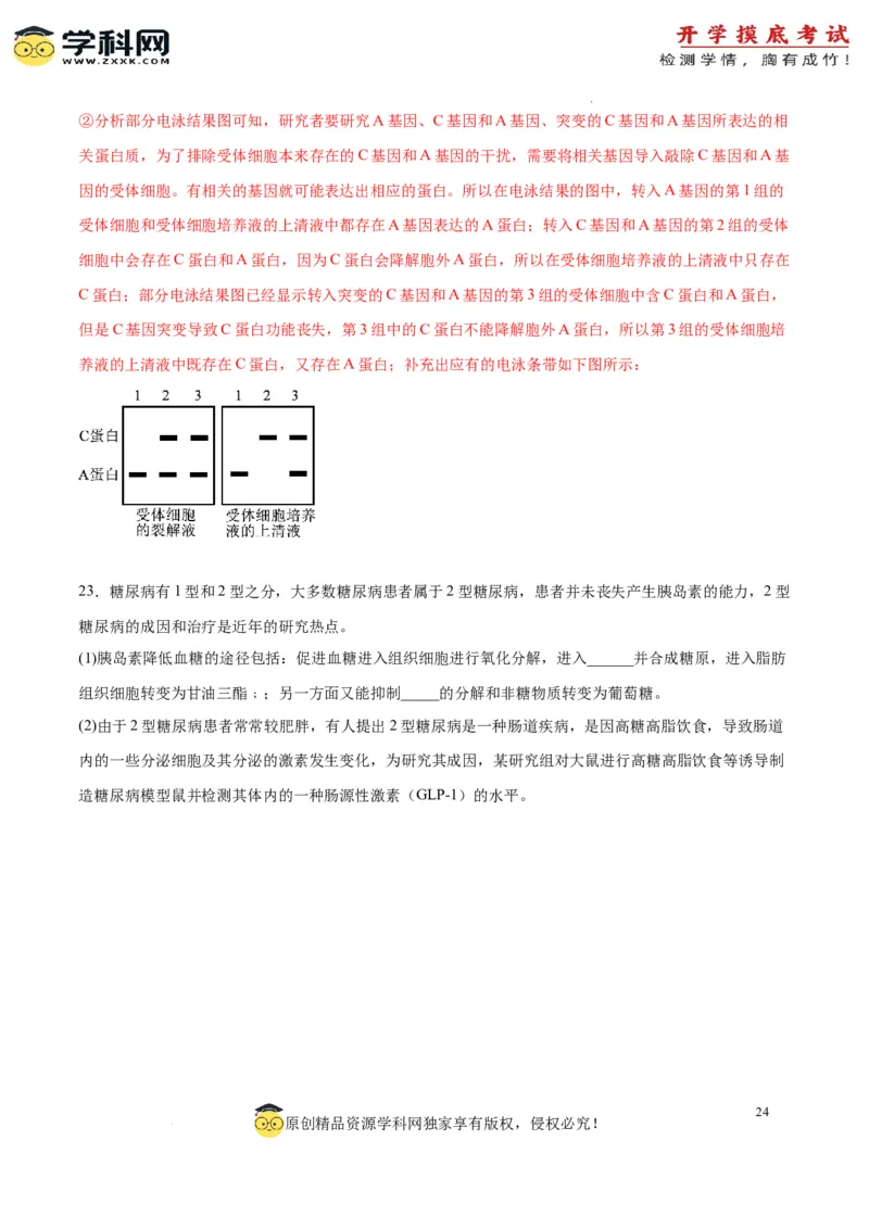 生物（山东卷）（全解全析）_2024届新高三开学摸底考试卷_生物-2024届新高三开学摸底考试卷_生物-2024届新高三开学摸底考试卷（山东卷）