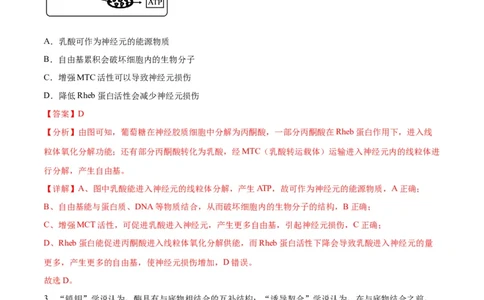 生物（山东卷）（全解全析）_2024届新高三开学摸底考试卷_生物-2024届新高三开学摸底考试卷_生物-2024届新高三开学摸底考试卷（山东卷）