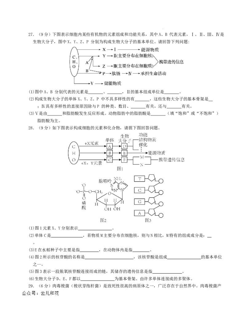 高一生物第一次月考卷（考试版A4）测试范围：必修1第1-2章（人教版2019）_1多考区联考试卷_0922黄金卷：2024-2025学年高一上学期第一次月考9科word解析版含答题卡（江苏专用）