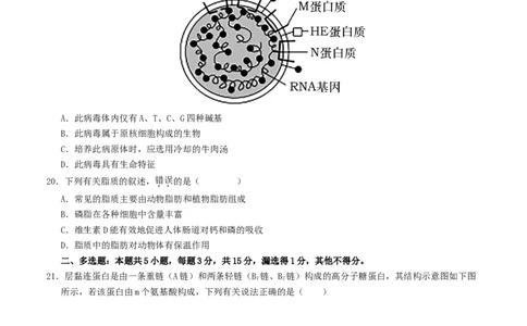 高一生物第一次月考卷（考试版A4）测试范围：必修1第1-2章（人教版2019）_1多考区联考试卷_0922黄金卷：2024-2025学年高一上学期第一次月考9科word解析版含答题卡（江苏专用）