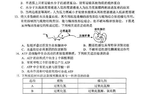 四川省成都市蓉城联盟2024届高三上学期开学考试生物(1)_2023年9月_029月合集_2024届四川省成都市蓉城联盟高三上学期开学考试