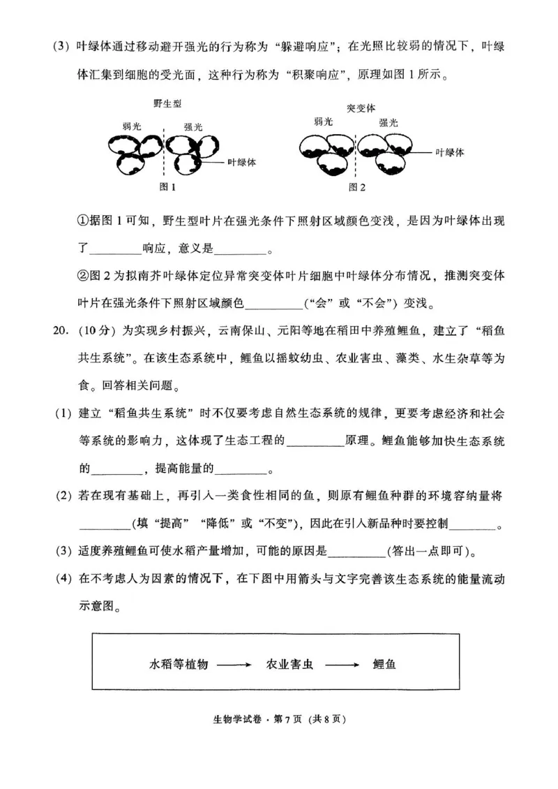 云南省昆明市五华区2024-2025学年高三上学期期中教学质量检测生物试题_11月_241103云南省昆明市五华区2024-2025学年高三上学期期中教学质量检测