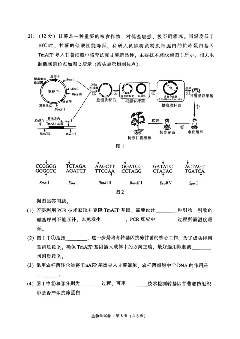 云南省昆明市五华区2024-2025学年高三上学期期中教学质量检测生物试题_11月_241103云南省昆明市五华区2024-2025学年高三上学期期中教学质量检测