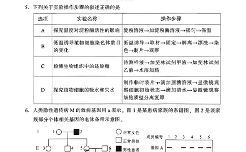 云南省昆明市五华区2024-2025学年高三上学期期中教学质量检测生物试题_11月_241103云南省昆明市五华区2024-2025学年高三上学期期中教学质量检测