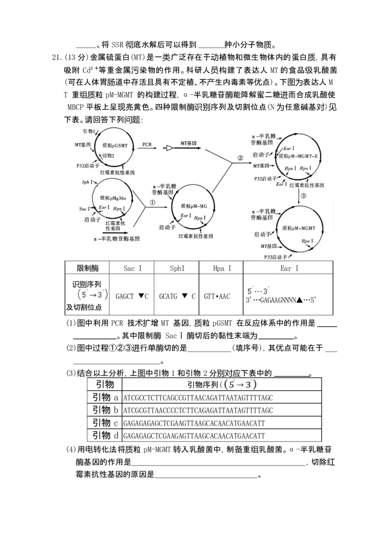 湖南省长沙市第一中学2025-2026学年高三上学期1月月考生物试题(1)_2026年1月_260109湖南省长沙一中2026届高三月考（五）（全科）_生物试卷-湖南长沙一中2026届高三月考试卷(五)