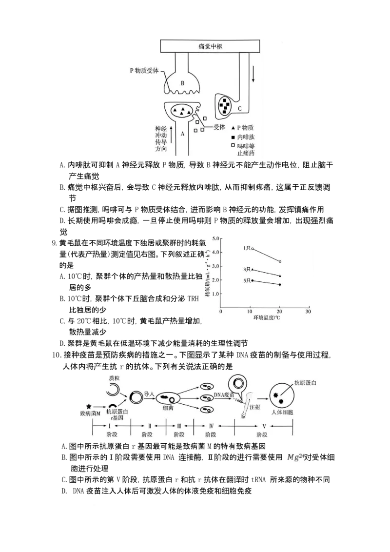 湖南省长沙市第一中学2025-2026学年高三上学期1月月考生物试题(1)_2026年1月_260109湖南省长沙一中2026届高三月考（五）（全科）_生物试卷-湖南长沙一中2026届高三月考试卷(五)