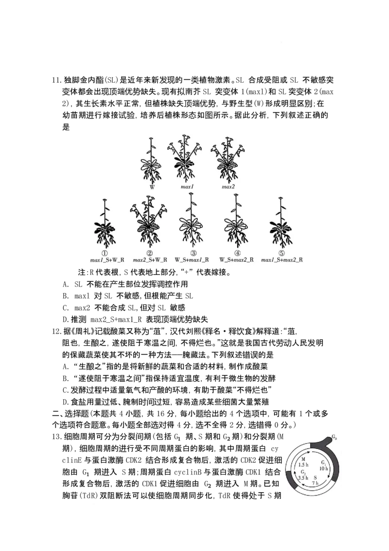湖南省长沙市第一中学2025-2026学年高三上学期1月月考生物试题(1)_2026年1月_260109湖南省长沙一中2026届高三月考（五）（全科）_生物试卷-湖南长沙一中2026届高三月考试卷(五)
