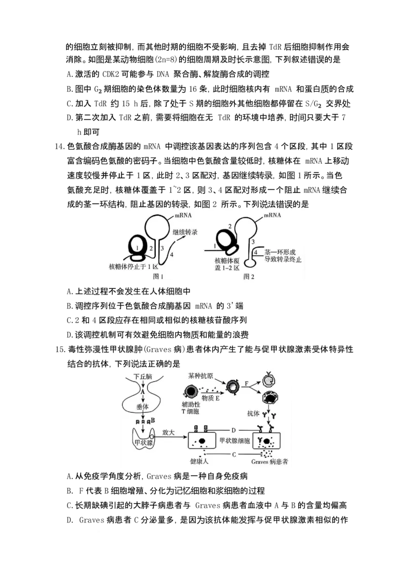 湖南省长沙市第一中学2025-2026学年高三上学期1月月考生物试题(1)_2026年1月_260109湖南省长沙一中2026届高三月考（五）（全科）_生物试卷-湖南长沙一中2026届高三月考试卷(五)