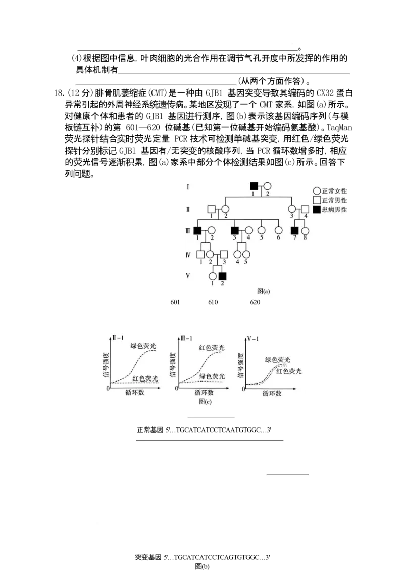 湖南省长沙市第一中学2025-2026学年高三上学期1月月考生物试题(1)_2026年1月_260109湖南省长沙一中2026届高三月考（五）（全科）_生物试卷-湖南长沙一中2026届高三月考试卷(五)