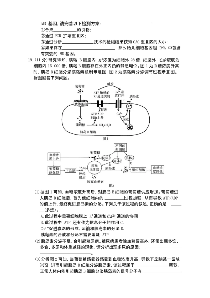 湖南省长沙市第一中学2025-2026学年高三上学期1月月考生物试题(1)_2026年1月_260109湖南省长沙一中2026届高三月考（五）（全科）_生物试卷-湖南长沙一中2026届高三月考试卷(五)