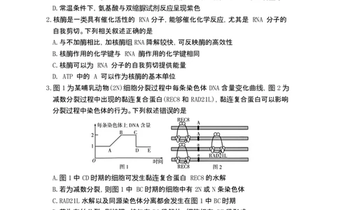 湖南省长沙市第一中学2025-2026学年高三上学期1月月考生物试题(1)_2026年1月_260109湖南省长沙一中2026届高三月考（五）（全科）_生物试卷-湖南长沙一中2026届高三月考试卷(五)