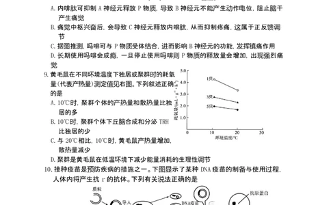 湖南省长沙市第一中学2025-2026学年高三上学期1月月考生物试题(1)_2026年1月_260109湖南省长沙一中2026届高三月考（五）（全科）_生物试卷-湖南长沙一中2026届高三月考试卷(五)