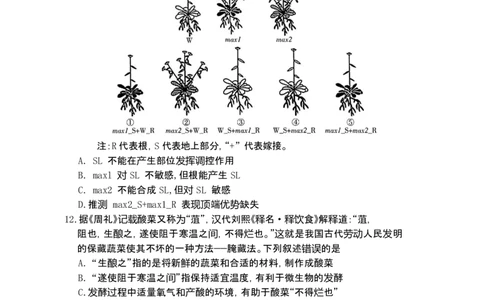 湖南省长沙市第一中学2025-2026学年高三上学期1月月考生物试题(1)_2026年1月_260109湖南省长沙一中2026届高三月考（五）（全科）_生物试卷-湖南长沙一中2026届高三月考试卷(五)
