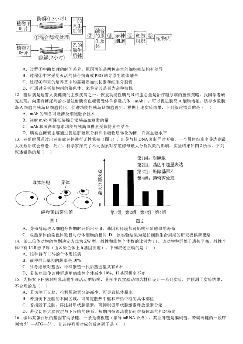 湖北生物-试题-p_近10年高考真题汇编（必刷）_2024年高考真题_高考真题（截止6.29）_湖北卷副科（6科全）