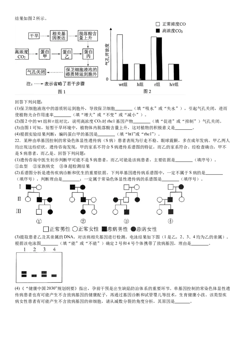 湖北生物-试题-p_近10年高考真题汇编（必刷）_2024年高考真题_高考真题（截止6.29）_湖北卷副科（6科全）
