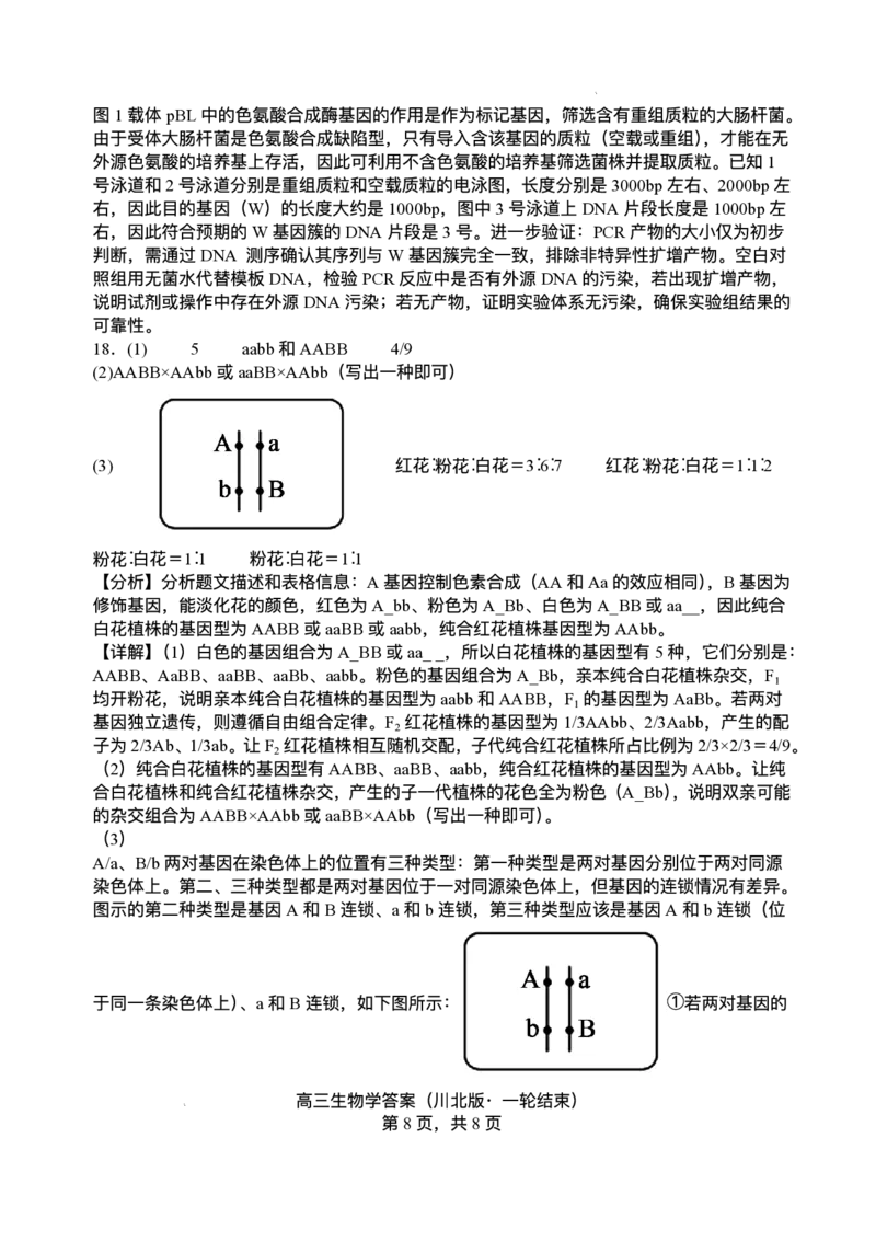 2026届四川省字节精准教育联盟高三上学期1月一模生物试题(1)_2026年1月_260112四川省字节精准教育联盟2026届高三上学期1月第二阶段学情调研测试（全科）