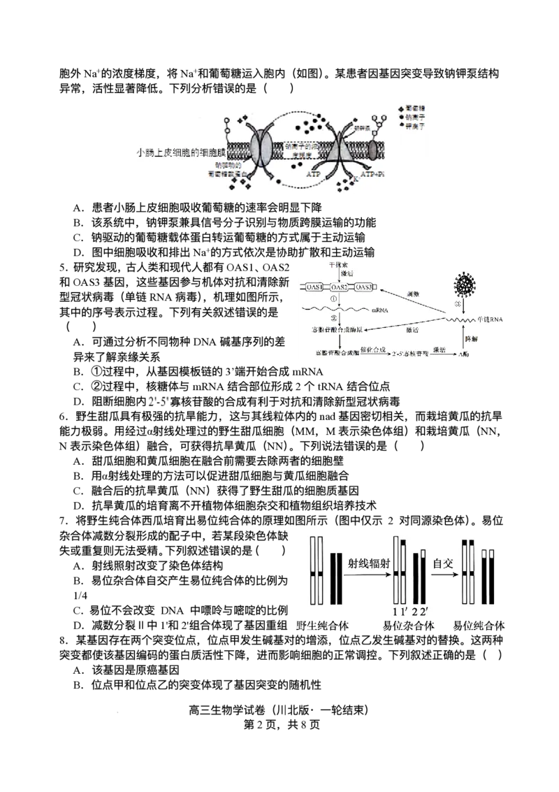 2026届四川省字节精准教育联盟高三上学期1月一模生物试题(1)_2026年1月_260112四川省字节精准教育联盟2026届高三上学期1月第二阶段学情调研测试（全科）